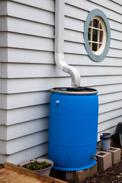 rain barrels under downspouts from a roof can conserve water that would otherwise run off your property